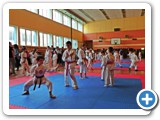�arnovick� majstrovstv� v karate, �arnovica 2016 