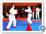 �arnovick� majstrovstv� v karate, �arnovica 2016 